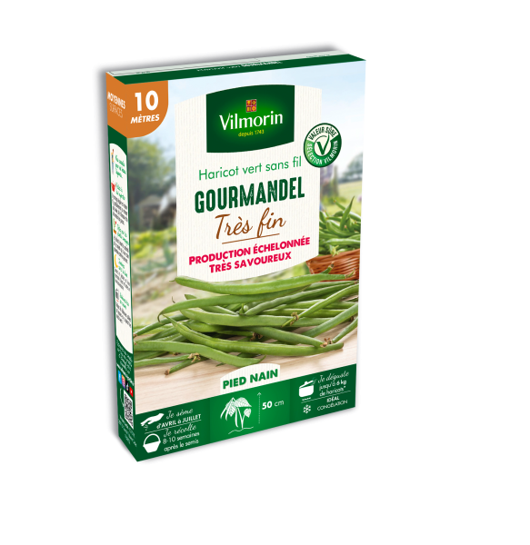 Légumes Secs - Haricot Nain Vert Gourmandel - 10 m - face recto